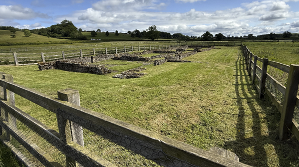 A grass field with a fence and a stone wall
AI-generated content may be incorrect.